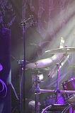 EVERGREY+FeedForward_117