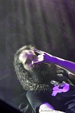 EVERGREY+FeedForward_119