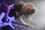 EVERGREY+FeedForward_122