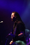 EVERGREY+FeedForward_126