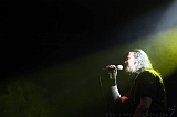 EVERGREY+FeedForward_130