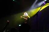 EVERGREY+FeedForward_132