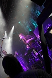 EVERGREY+FeedForward_134