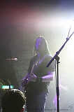 EVERGREY+FeedForward_137