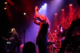 EVERGREY+FeedForward_139