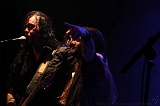 EVERGREY+FeedForward_143