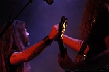 EVERGREY+FeedForward_145
