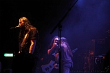 EVERGREY+FeedForward_146
