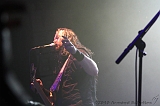 EVERGREY+FeedForward_147