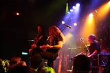 EVERGREY+FeedForward_148