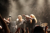 EVERGREY+FeedForward_156