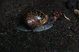 Natuur_om_huis_004
