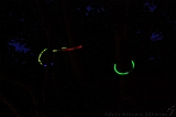 Grasnacht_039