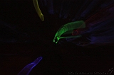 Grasnacht_044