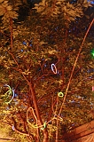 Grasnacht_068