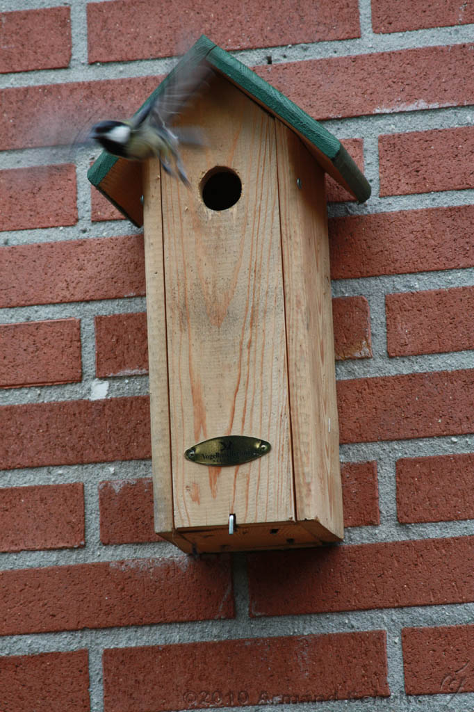 Vogelhuisje_001.jpg