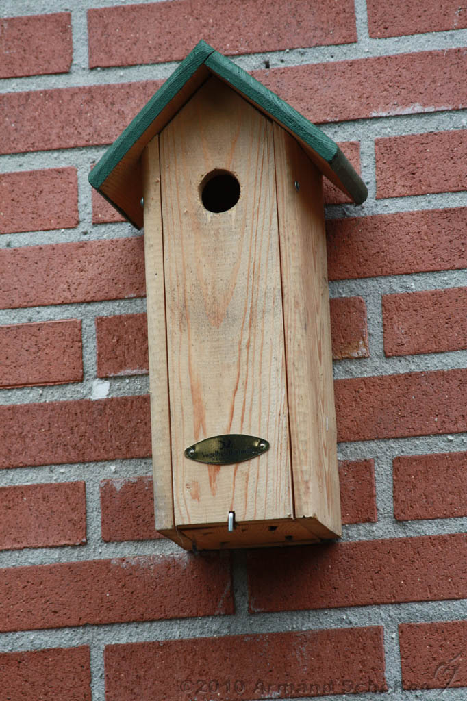 Vogelhuisje_002.jpg