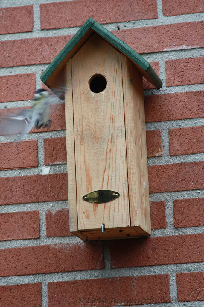 Vogelhuisje_003.jpg