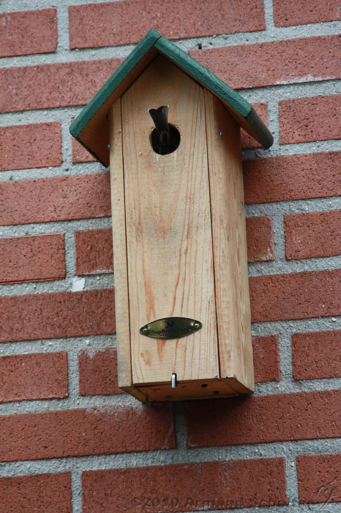 Vogelhuisje_005.jpg