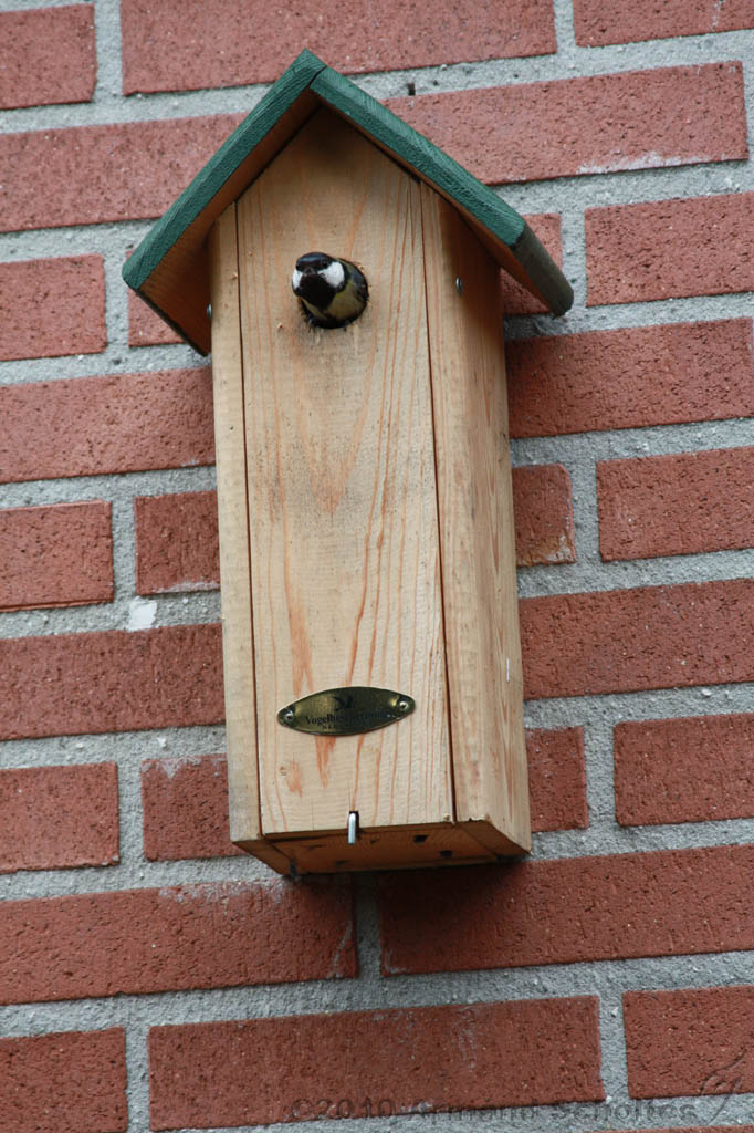 Vogelhuisje_006.jpg