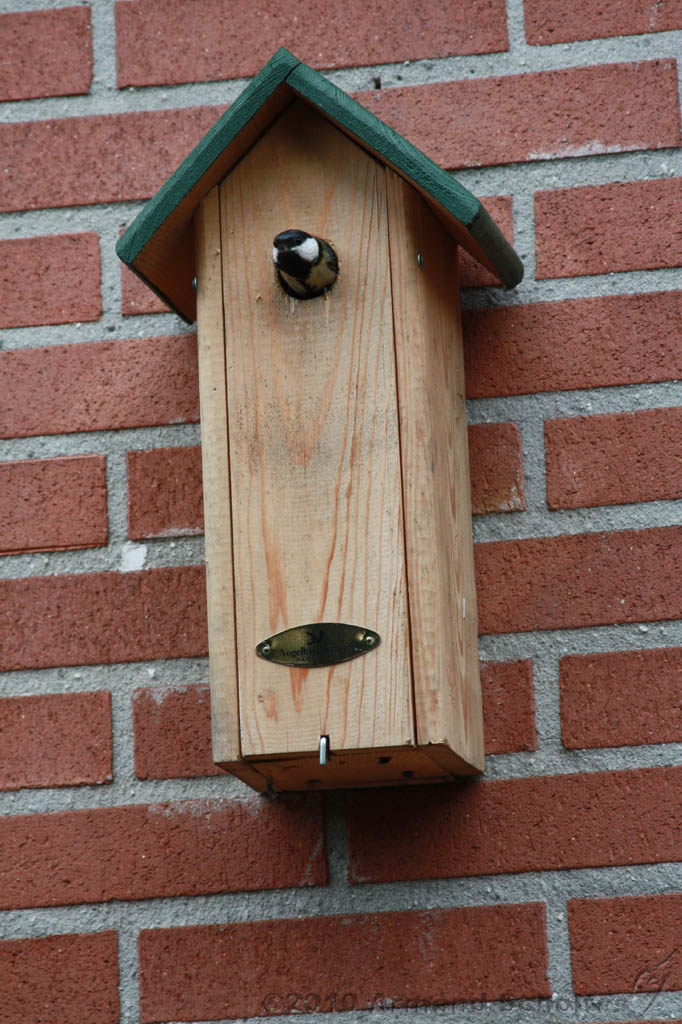 Vogelhuisje_007.jpg