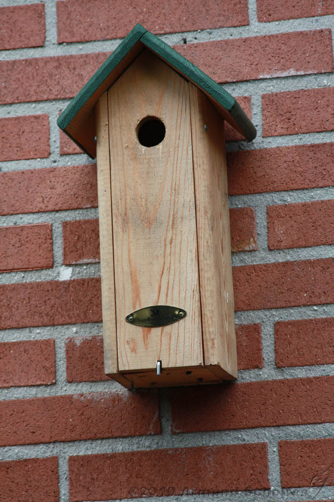 Vogelhuisje_008.jpg