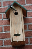 Vogelhuisje_000