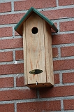 Vogelhuisje_002