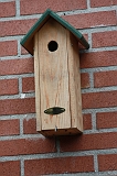 Vogelhuisje_008
