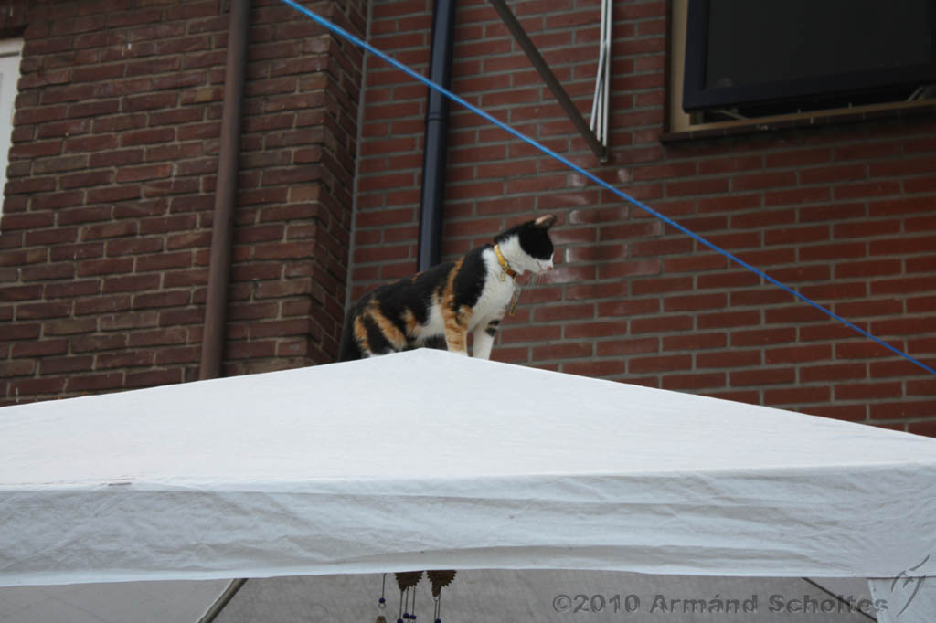 BBQ_WK2010_030.jpg