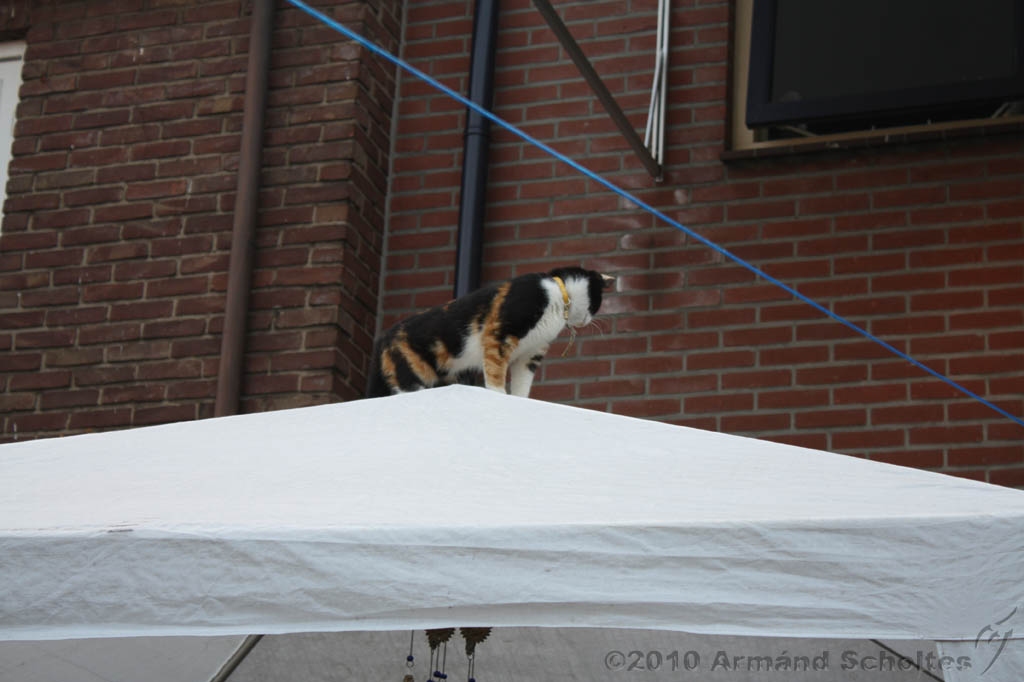 BBQ_WK2010_031.jpg