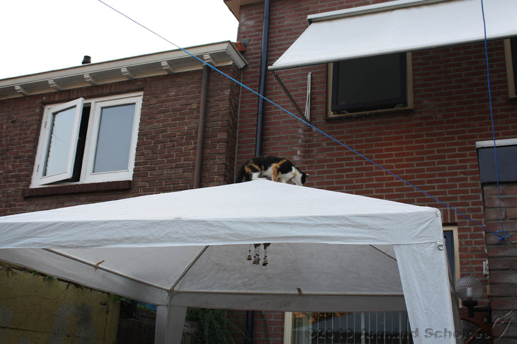 BBQ_WK2010_032.jpg