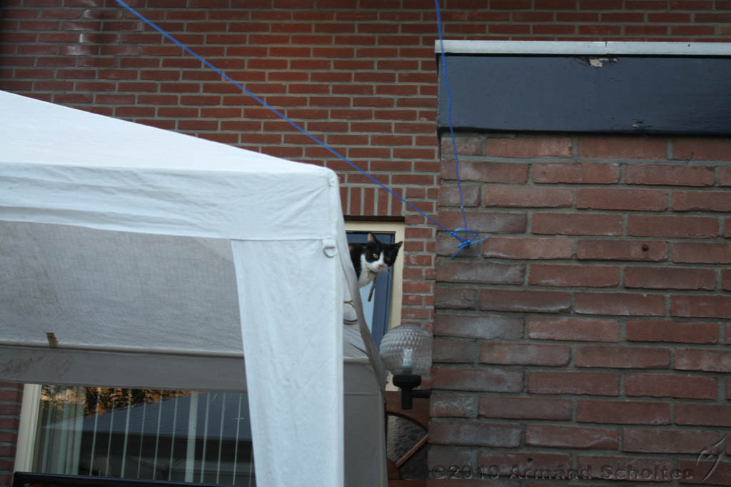 BBQ_WK2010_034.jpg