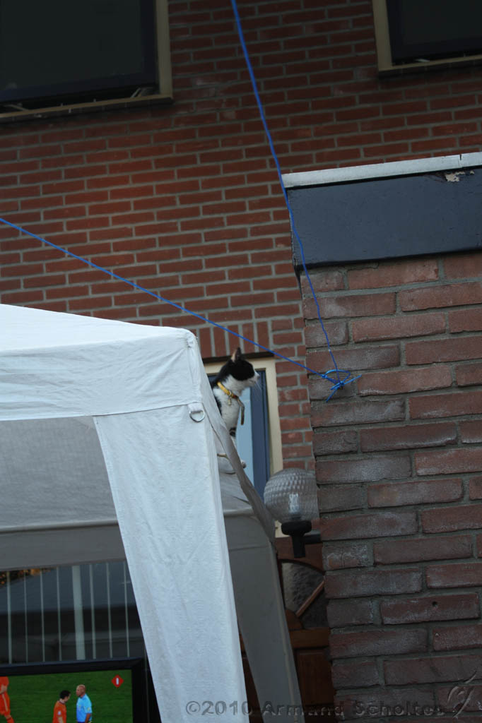 BBQ_WK2010_035.jpg