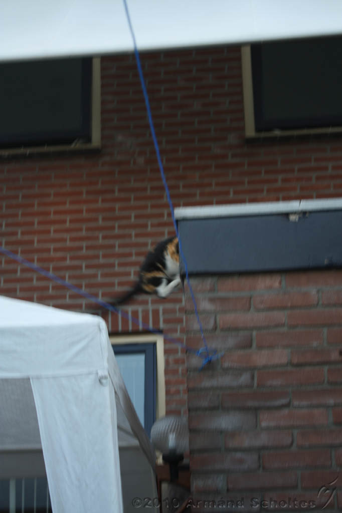 BBQ_WK2010_036.jpg