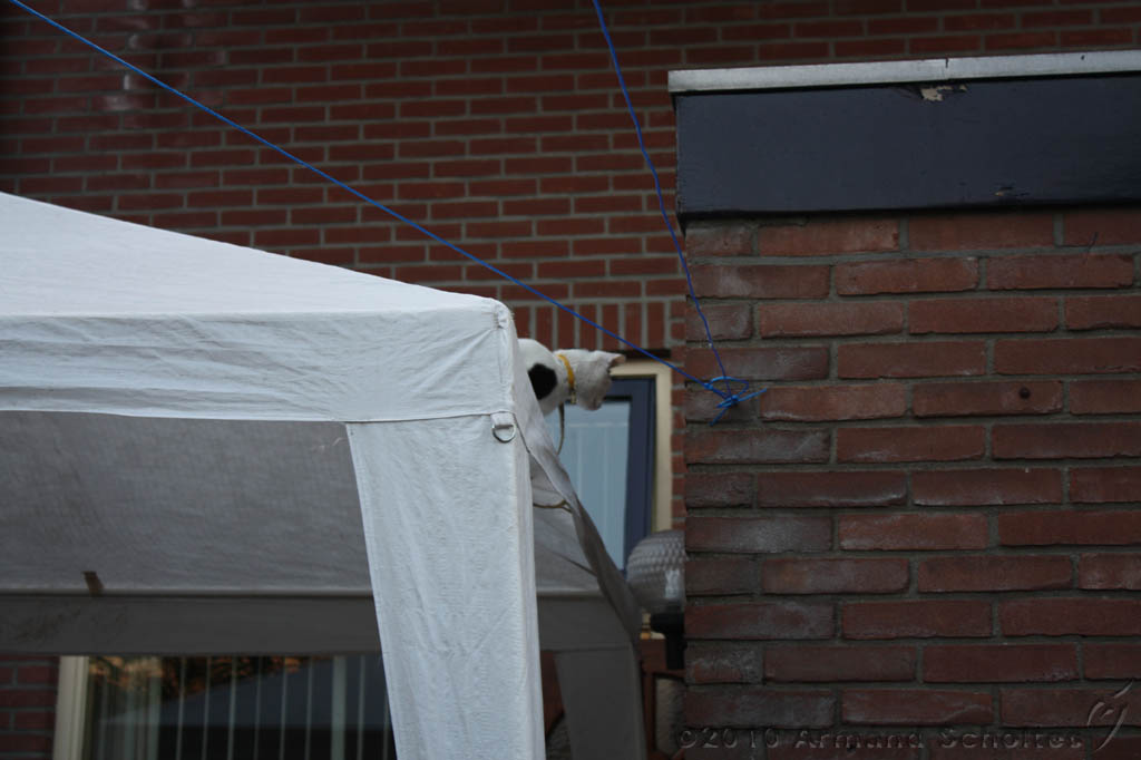 BBQ_WK2010_038.jpg