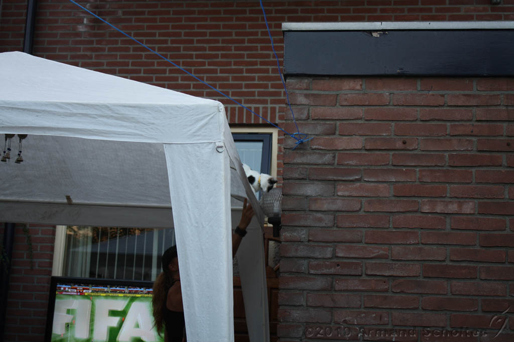 BBQ_WK2010_042.jpg