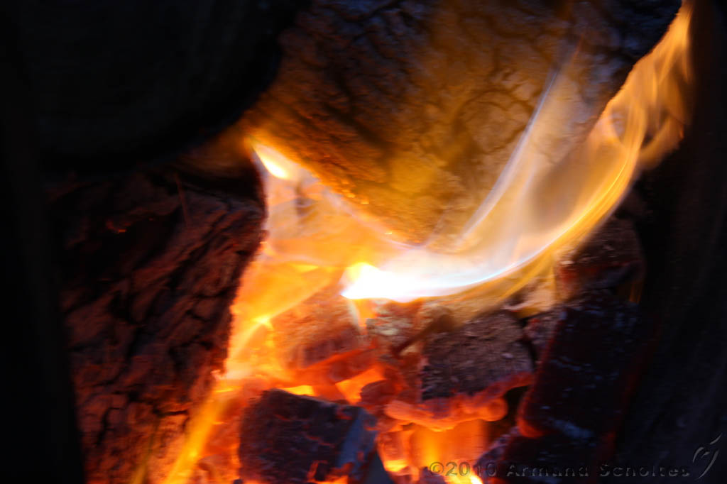 BBQ_WK2010_080.jpg