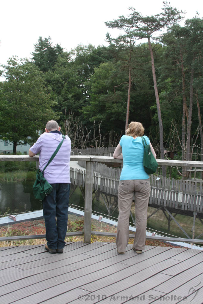 Apenheul_067.jpg