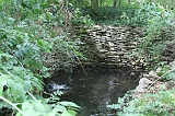 Apenheul_012