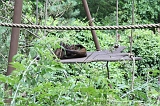 Apenheul_025