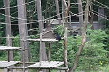 Apenheul_055