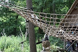 Apenheul_073