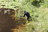 Apenheul_239