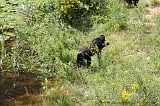 Apenheul_240