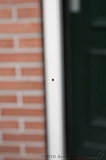 Cobweb_013