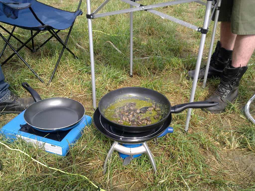Wacken_2010-001.jpg