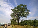 Wacken_2010-009