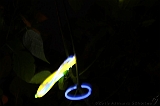 FrisbeeGlowSticks-029