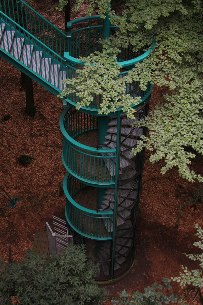 Boomkroonpad_023.jpg